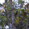 Flora y Fauna